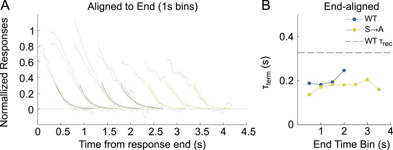 Figure 8—figure supplement 1.