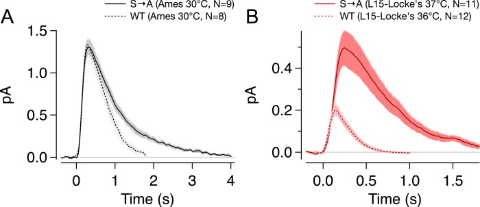 Figure 4—figure supplement 2.