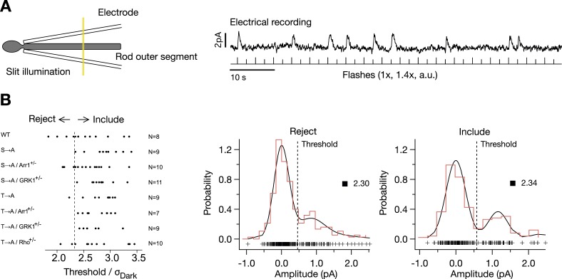 Figure 1—figure supplement 1.