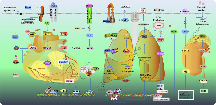 FIGURE 4