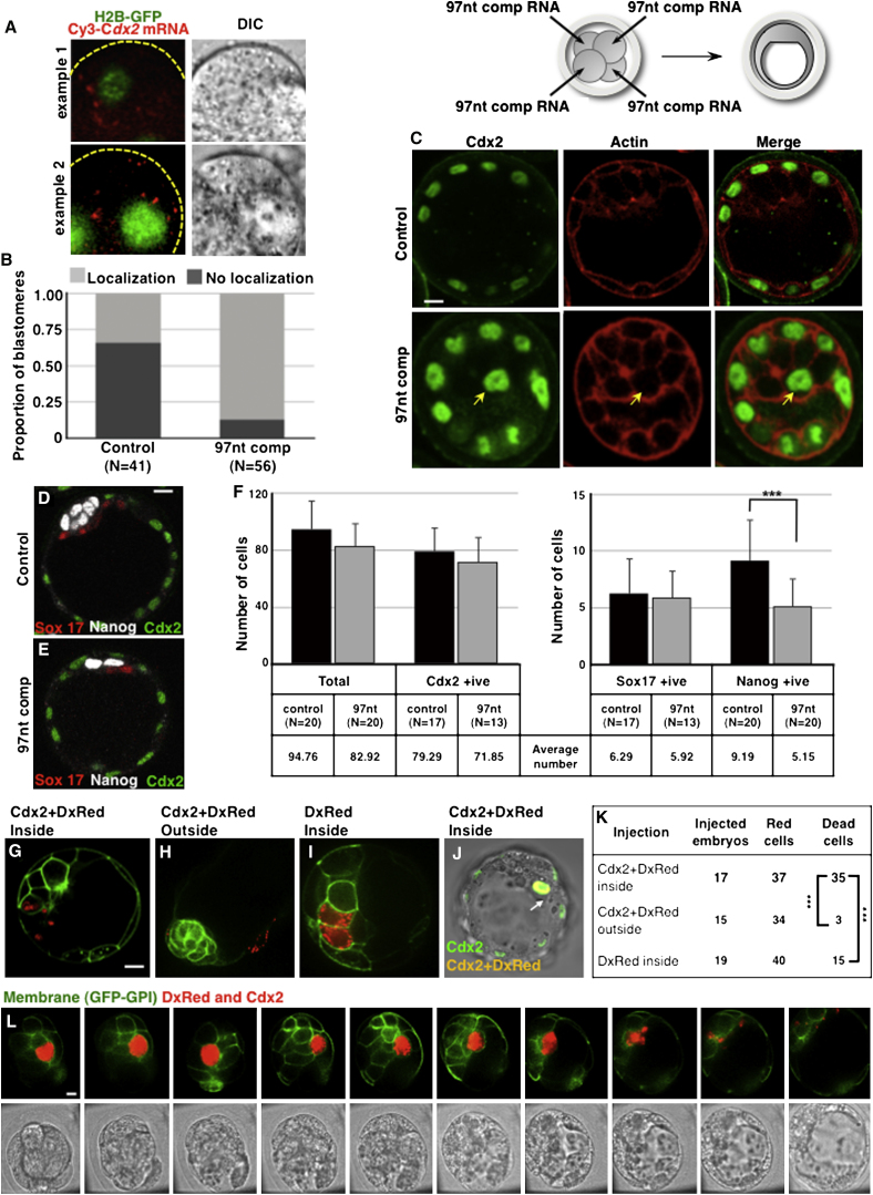 Figure 6