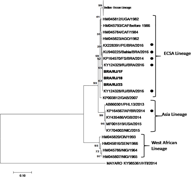 FIGURE 1