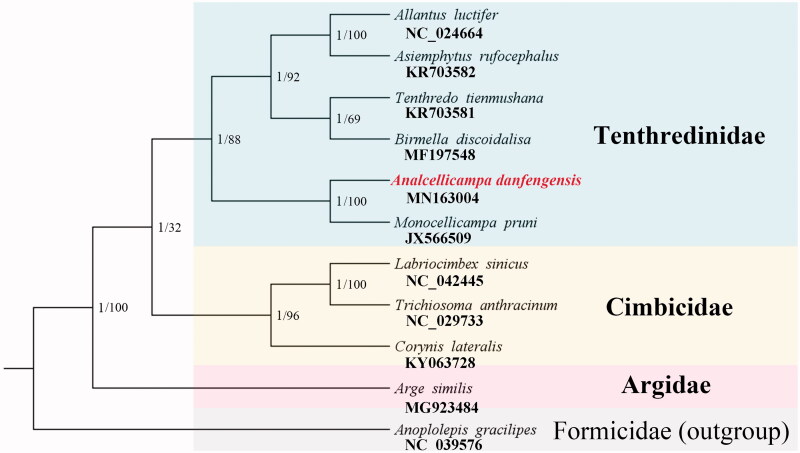 Figure 1.