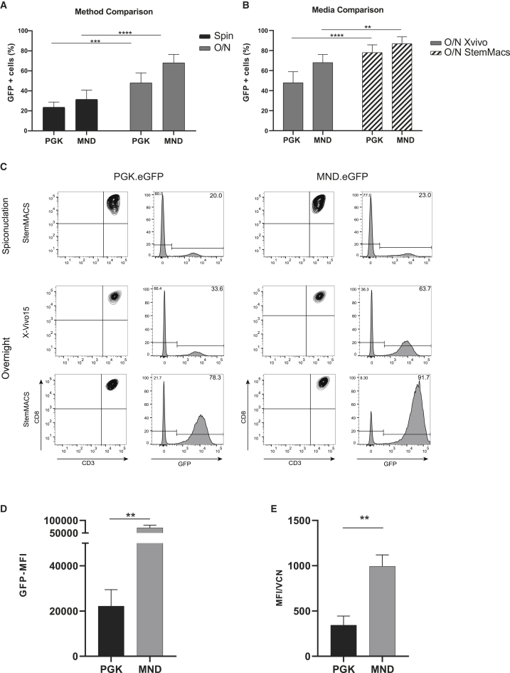 Figure 2