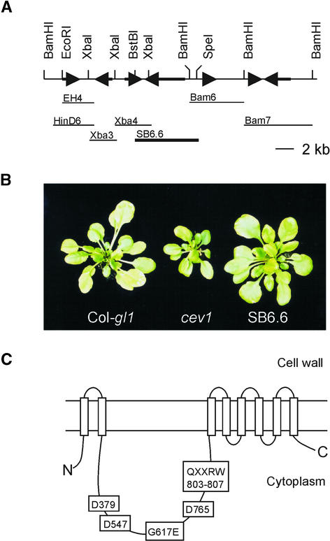 Figure 4.