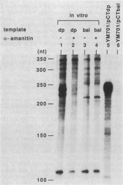 graphic file with name pnas00339-0097-b.jpg