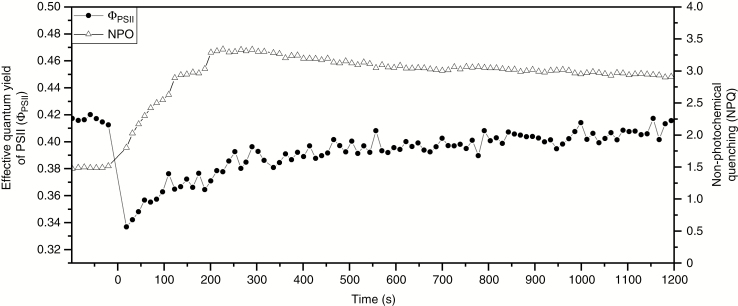 Fig. 2.