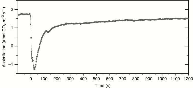 Fig. 1.