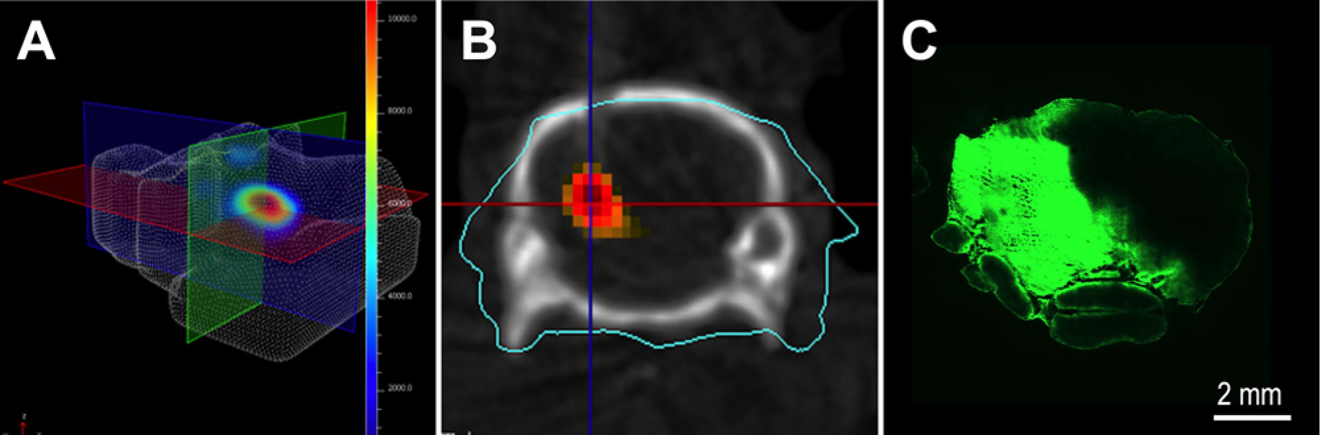 FIG. 6.