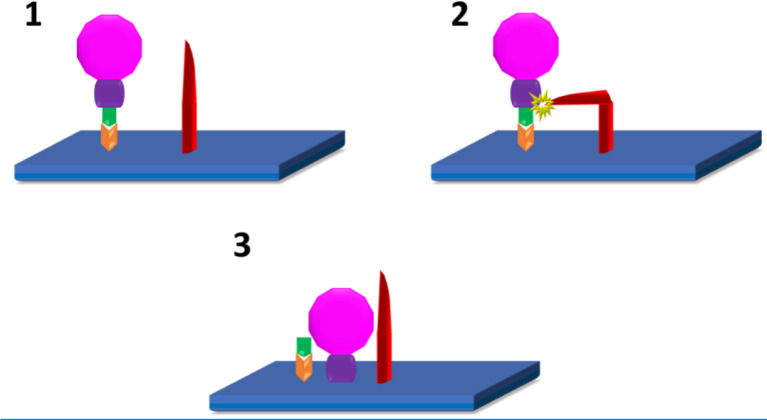 Figure 1