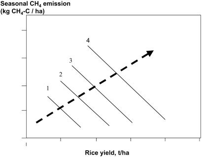 Fig 5.