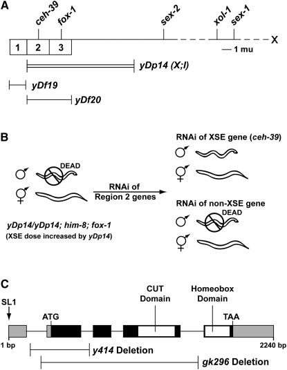 Figure 2.—