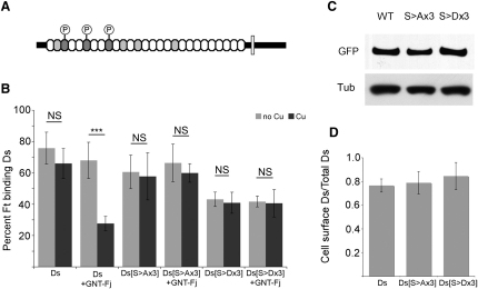 Figure 3