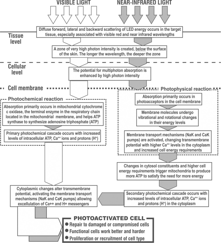 Fig. 2: