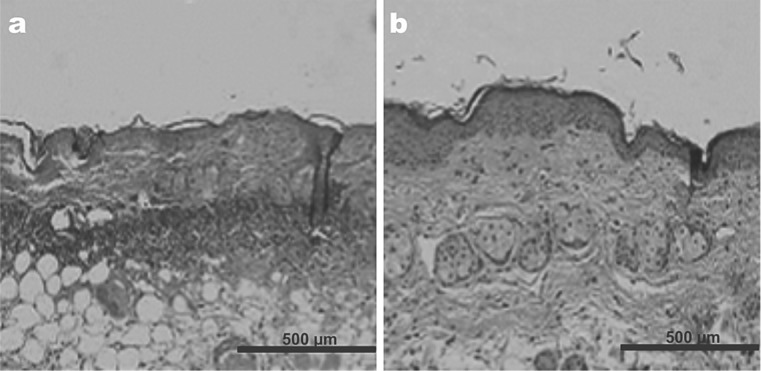 Fig. 7: