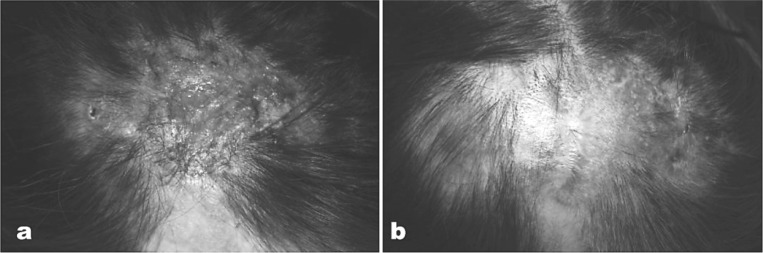 Fig. 9: