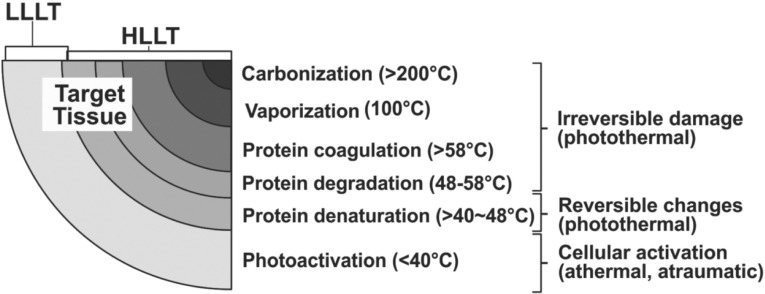 Fig. 1: