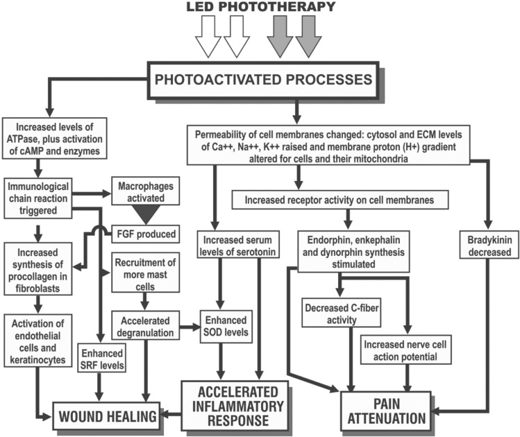 Fig. 4: