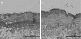 Fig. 7: