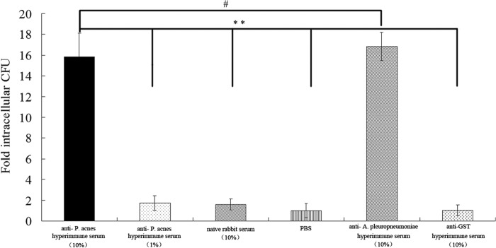 FIG 6