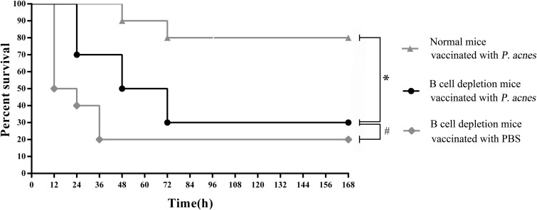 FIG 9