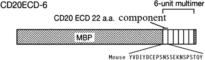 FIG 1