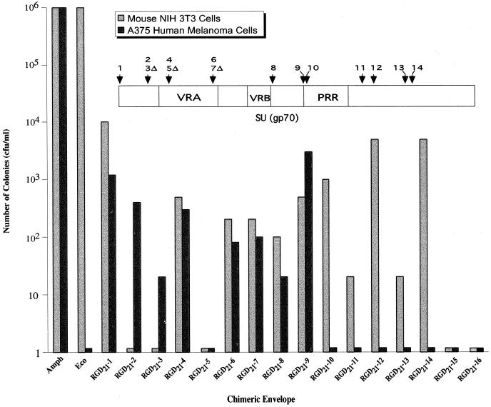 FIG. 2.