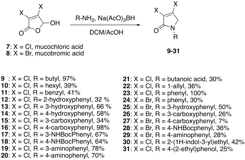 Scheme 1