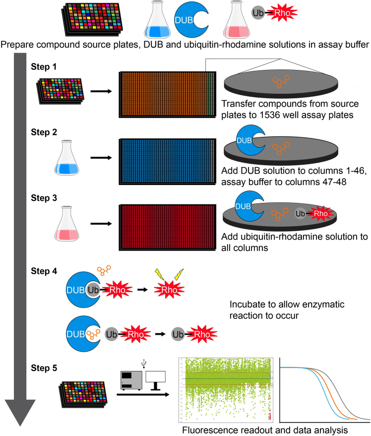 Figure 1