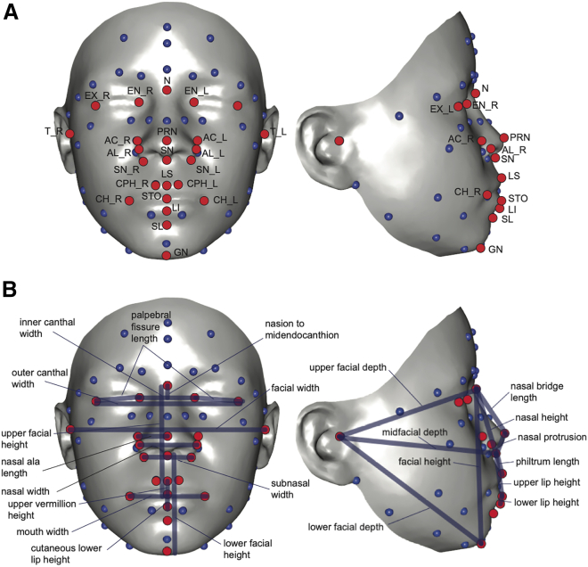 Figure 1