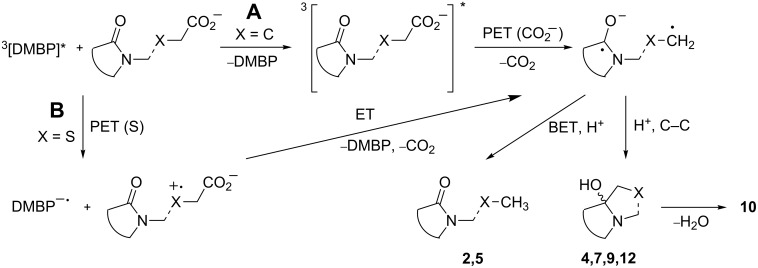 Scheme 8