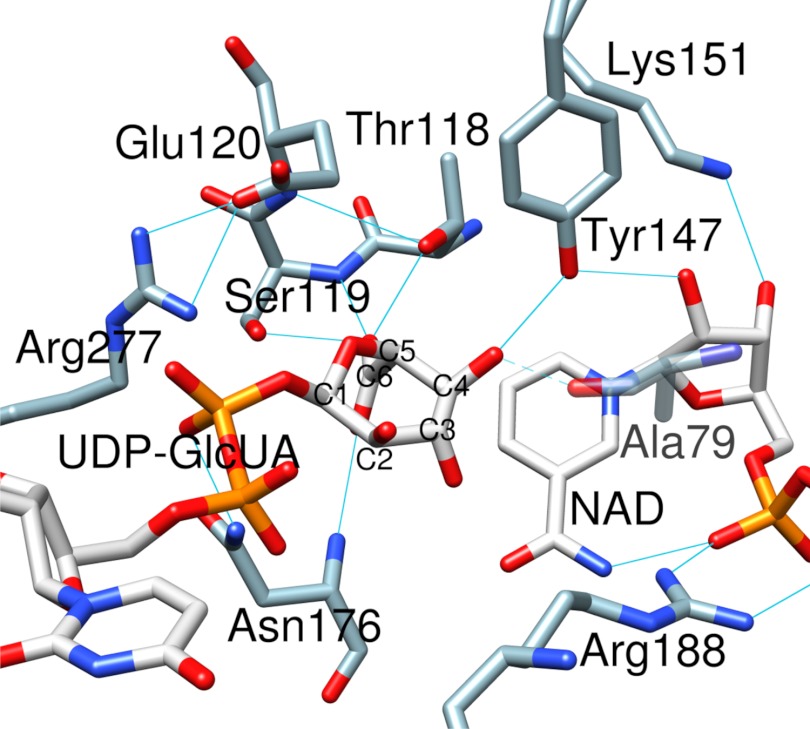 FIGURE 2.