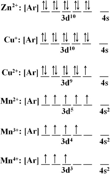 Fig. 20