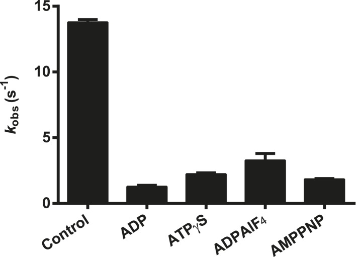 Figure 5—figure supplement 1.