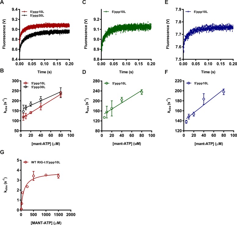 Figure 2—figure supplement 1.