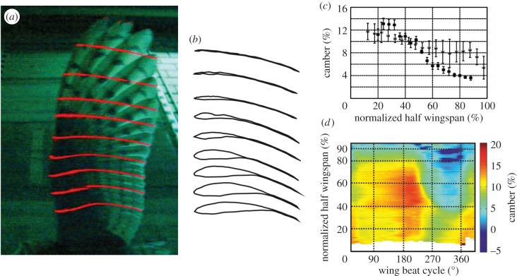 Figure 2.