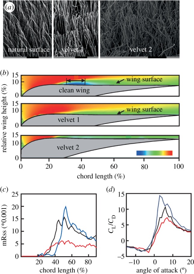 Figure 6.