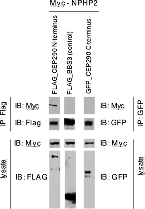 Figure 7.