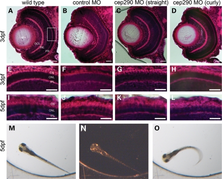 Figure 4.