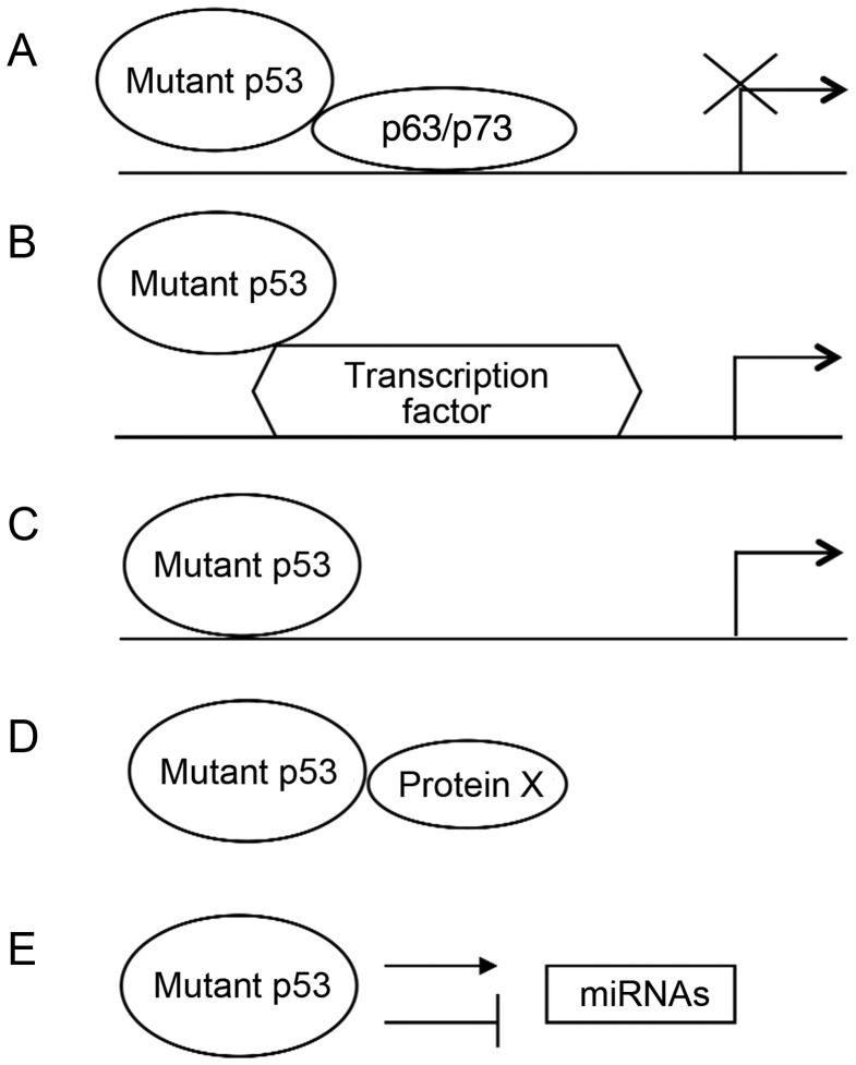 Figure 2.