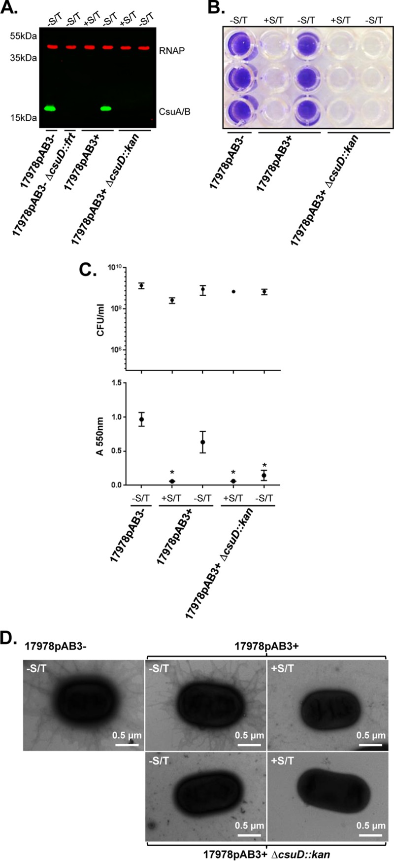 FIG 4