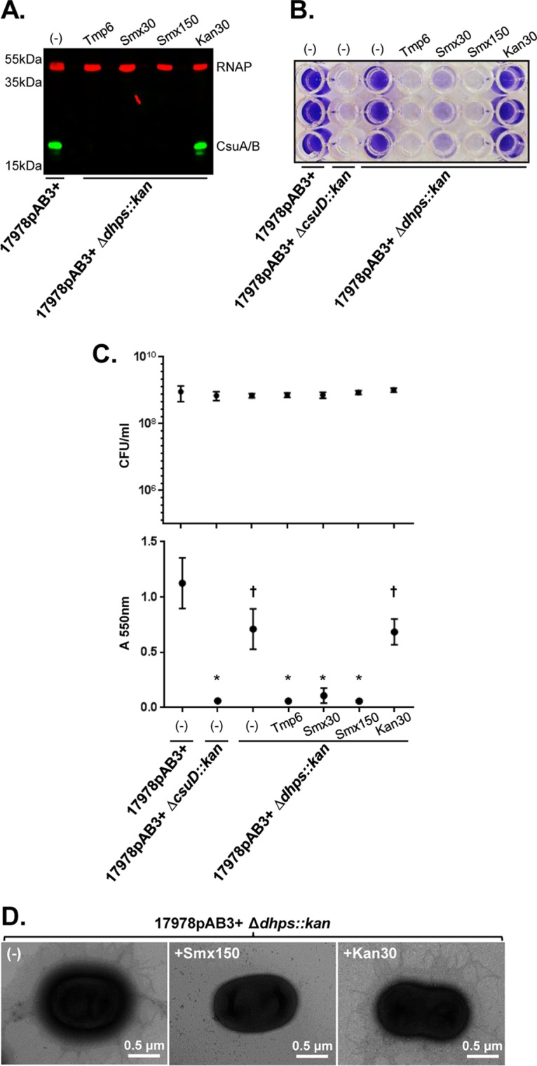 FIG 7