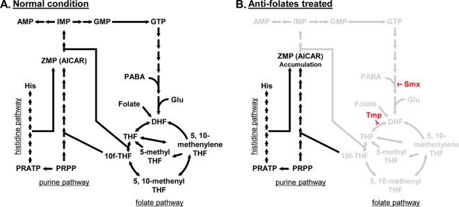 FIG 6