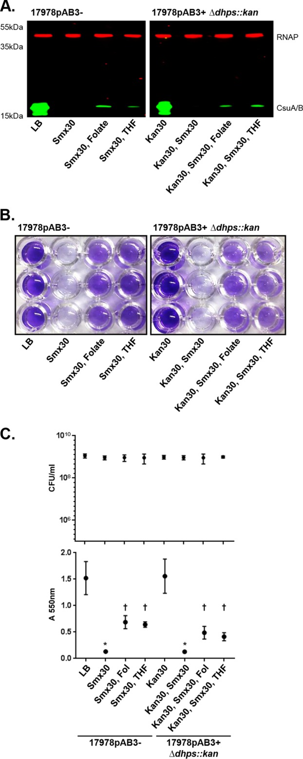 FIG 9