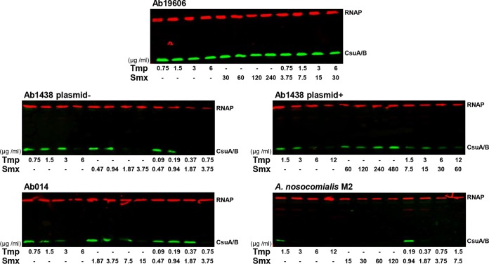 FIG 11