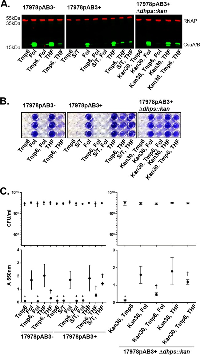 FIG 8