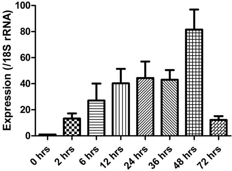 FIGURE 4