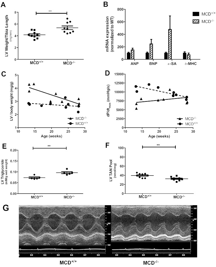 Fig. 6