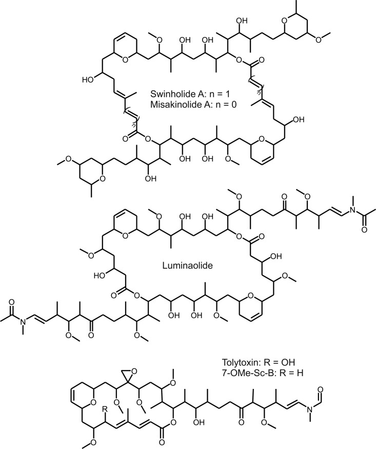 FIG 1