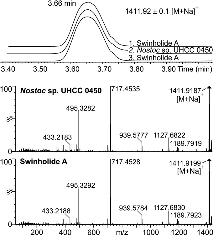 FIG 2